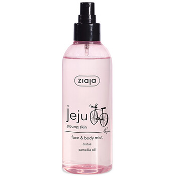 Jeju Body and Face Mist ( kokos, mango, papája ) - Tělová voda